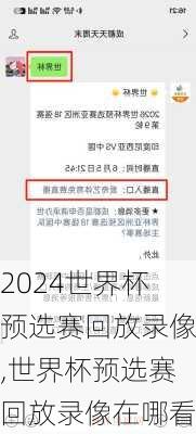 世界杯预选赛回放录像,世界杯预选赛回放录像在哪看