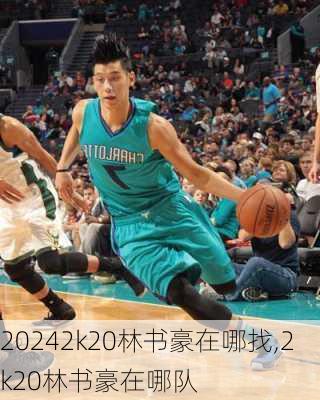 2k20林书豪在哪找,2k20林书豪在哪队