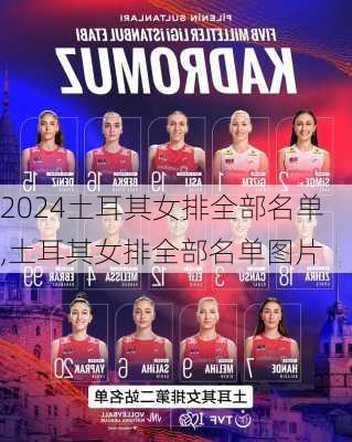 土耳其女排全部名单,土耳其女排全部名单图片