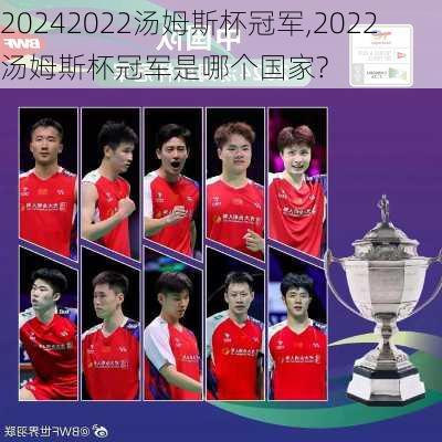 2022汤姆斯杯冠军,2022汤姆斯杯冠军是哪个国家?